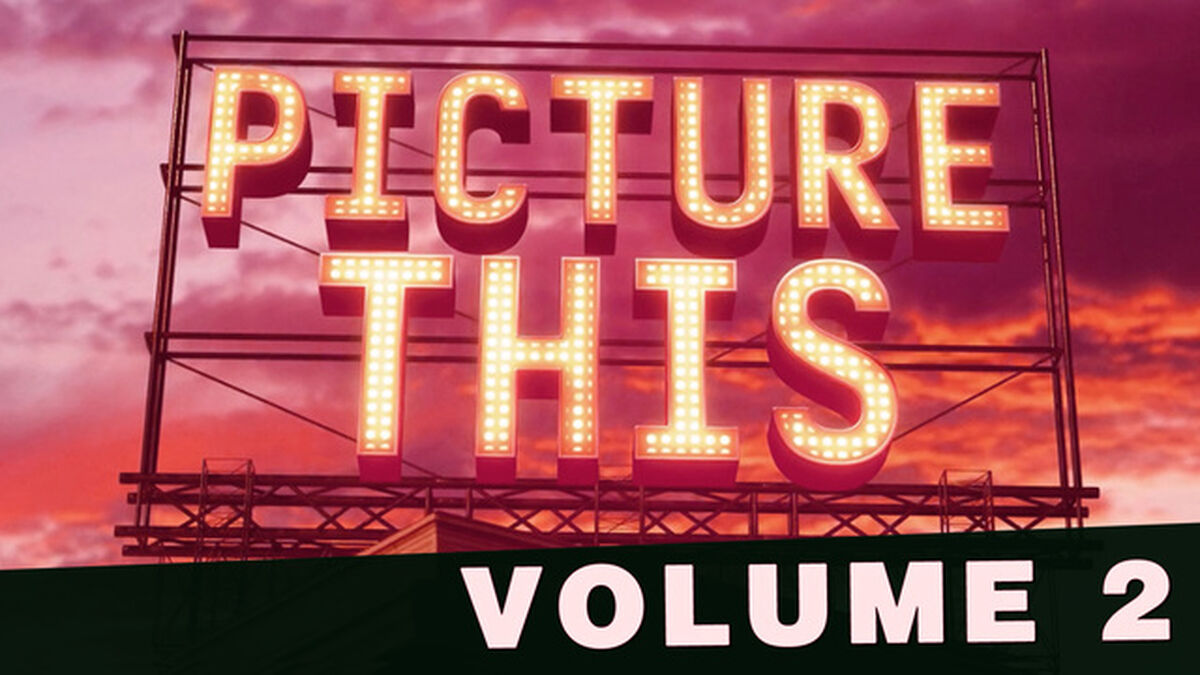 Picture This: Volume 2 image number null